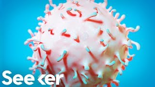 Is There Any Actual Science Behind Stem Cell Therapy?