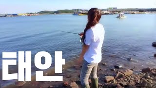 충남태안 당암포구 배스낚시채비로 쭈꾸미잡기 워킹쭈꾸미낚시