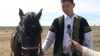 Жеңіс күніне арналған аламан бәйге өтті