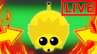 СТРИМ ПО MOPE.IO #14 | БАГИ В ИГРЕ?!