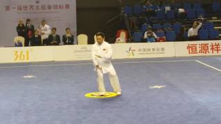 第一屆世界太極拳錦標賽 - 比賽項目 ．1st World Taijiquan Championships