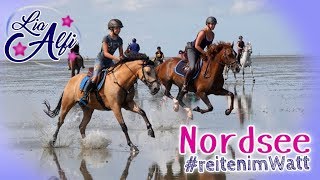 Lia & Alfi - Reiten im Watt - Urlaub in Sahlenburg 2018