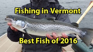 Best Fish of 2016 - Vermont