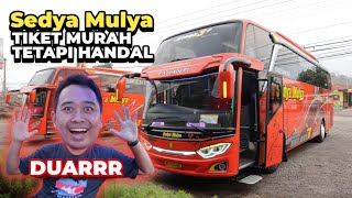 WAKTU TEMPUH BUS INI TAK PERLU DIRAGUKAN LAGI & TIKET MURAH MERIAH | Trip Sedya Mulya Solo - Jakarta