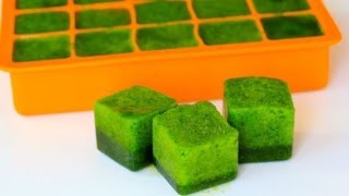 How-To Make Spinach Pops (For Smoothies & Protein Shakes)