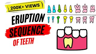 Eruption of teeth