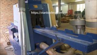 Рамный многопильный станок Wintersteiger DSG150 Eco