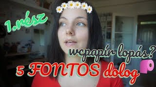 5 dolog, amit fontos tudnod, ha kolis leszel | Kolisori 1.rész