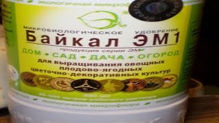 Байкал Эм 1. Применение байкала эм-1 при замачивании семян