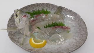 ヘダイ仔魚の姿造り。堤防でよく釣れる20センチ級のサイズですが、頭と尾ひれが付いていお皿に盛れば、ちょっとした高級魚並みになります。これなら接待に使えるかも？【釣太郎の下魚の価値を見直そう編】