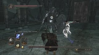 Dark Souls 2 Looking Glass Knight Boss Fight