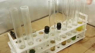 Gold  dressing agent. Новый реагент для золото.