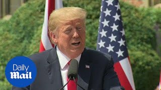 Donald Trump calls his own interview 'fake news'