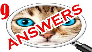 Guess the Pic! 2 ~ Photo Quiz Level 9 - All Answers - Walkthrough
