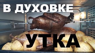 ОХОТА НА УТКУ НА КУБАНИ. ПРИГОТОВЛЕНИЕ ДИКИХ УТОК НА ВЕРТЕЛЕ И С НАЧИНКОЙ В ДУХОВКЕ. РЕЦЕПТЫ СЮФ
