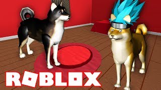 СИМУЛЯТОР СОБАКИ | ROBLOX | DAMON