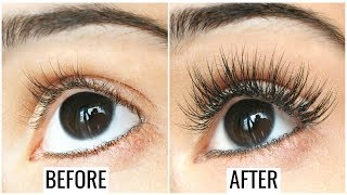 How to Grow Long, Thick, Strong Eyelashes & Eyebrows | Anaysa