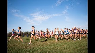 American Athletic Conference Cross Country Championships