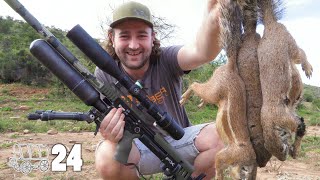 Solo Safari | The Oxwagon Diaries, pt.24