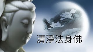 YPT24《清淨法身佛》心靈音樂 佛教音樂 太極拳背景音樂無痕加長珍藏版