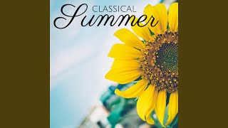 Concerto for Strings and Continuo in C Major, RV 113: I. Allegro