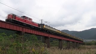 JRきのくに線の列車とサロンカーなにわ号 (2010.11.7)