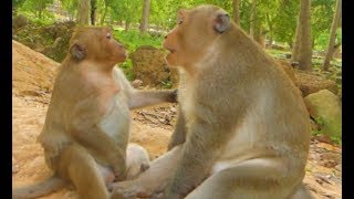 Wow! So adorable Sp hug Macus and scream,Sp&the family are working together to find a place to sleep