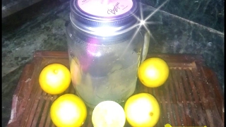 Honey Lemon  Recipe | Wait Loss | Magical Water | Indian