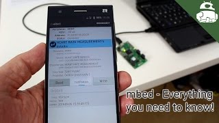 mbed - Everything you need to know!