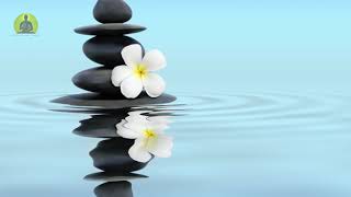 1 Hour Deep Healing Music Relax Mind Body & Soul, Meditation Music, Soothing Relaxing Music