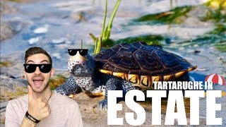 Riscaldatore in ESTATE per le TARTARUGHE d'Acqua Dolce? Tartarughe e LAGHETTO?