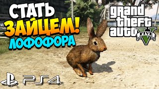 GTA 5 PS4 | Как стать ЗАЙЦЕМ!?