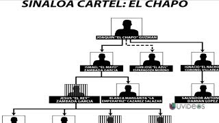 La captura del Chapo Guzmán no es un golpe letal al cartel de Sinaloa -- Exclusivo Online