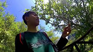 Derul_trip Curug Puncak Manik - geopark Ciletuh Sukabumi 1