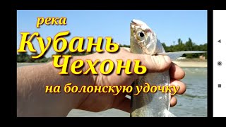 Ловля чехони на болонскую удочку.Рыбалка на реке Кубань.