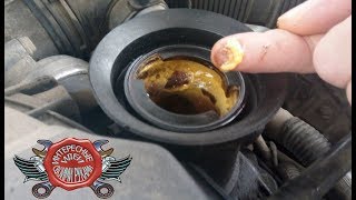 МАСЛОЗАЛИВНАЯ ГОРЛОВИНА | ВОТ О ЧЕМ ОНА МОЖЕТ РАССКАЗАТЬ