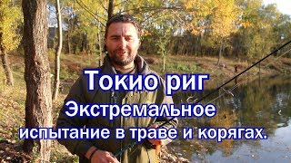 Токио риг в жёстком коряжнике. Неудачная попытка "засадить" оснастку/Tokyo rig in hard snags.