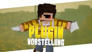 Bungee Hub - Plugin Vorstellung