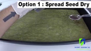 GRODAN Cress Plate - How to Seed MicroGreens