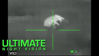 Tough Pea Patch Pig - Thermal Hog Hunting with an ATN ThOR 640 5x