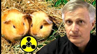Почему Скрипалей оставили в живых. Аналитика Валерия Пякина.