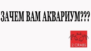 Зачем вам аквариум???