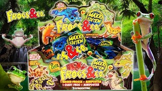 FROGS & CO ? Figuren Maxxi Edition DeAgostini | Unboxing DEUTSCH
