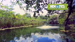 Tour Cenotes en Cancun y Riviera Maya