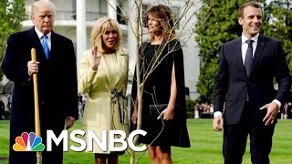 Mystery On The White House South Lawn | All In | MSNBC