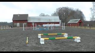 Hoppövning cocktailglaset