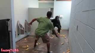 Розыгрыш! Горилла в туалете ESCAPED GORILLA BATHROOM PRANK!