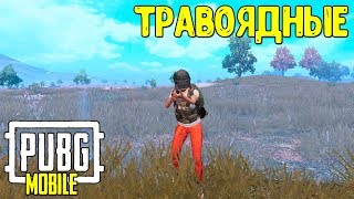 Лежать в траве не ошибка? Ошибки игроков Pubg Mobile vol.6