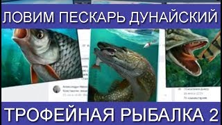 Трофейная рыбалка 2 Ловим Пескарь Дунайский