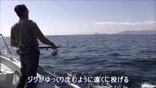 瀬戸内海伊予灘のジギング　ハマチ＆タチウオ